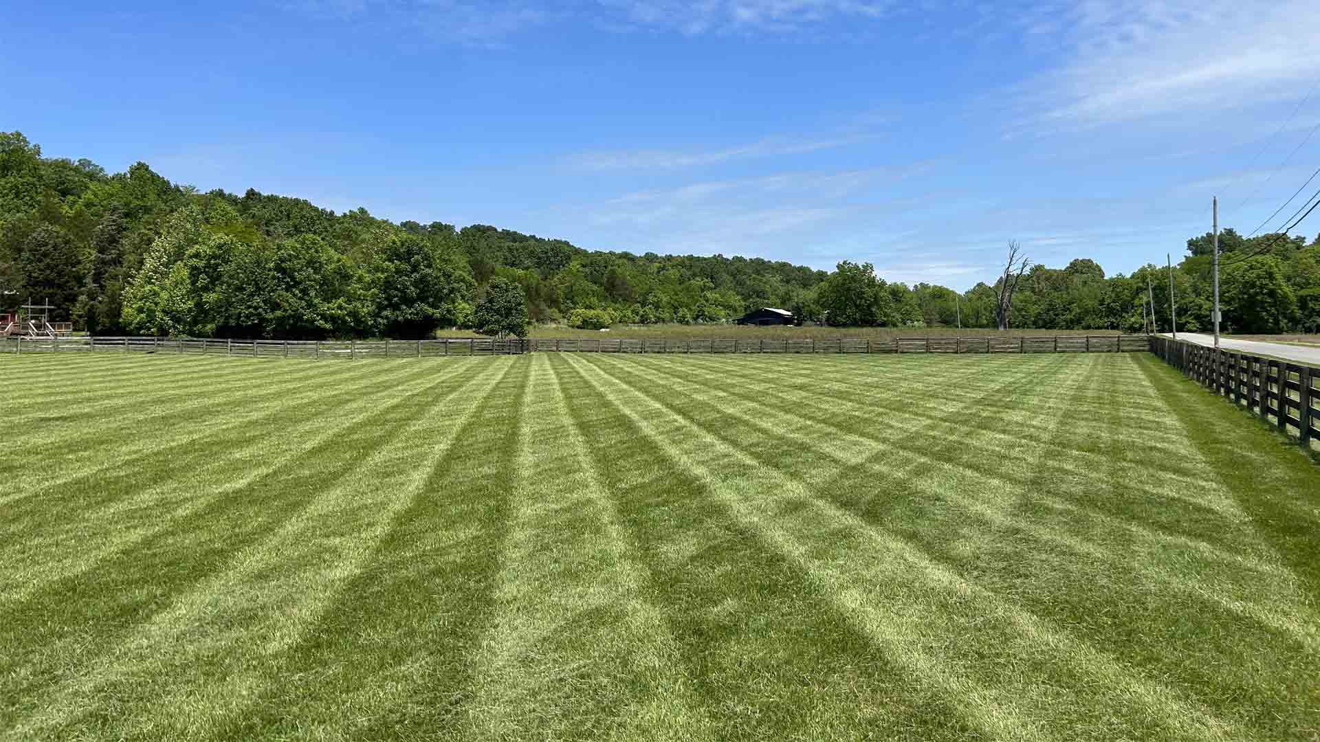Fresh landscaping detail vibrant striped lawn stretches to wooden fence lush trees blue sky bright sunny day.