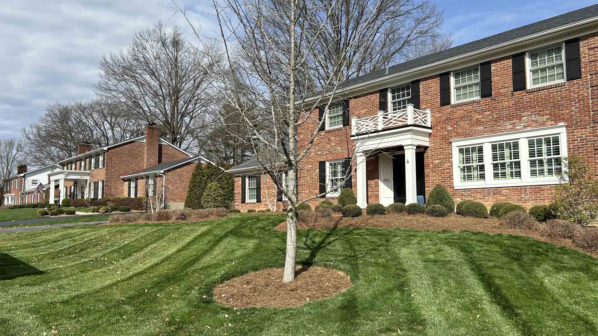 Mowing freshly striped lawn before brick townhomes bare tree stands center sunny day.